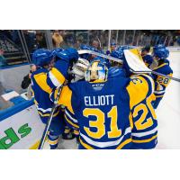 Saskatoon Blades celebrate win