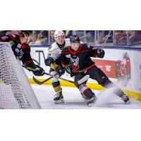 Adirondack Thunder take on the Newfoundland Growlers