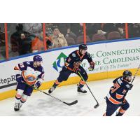 Greenville Swamp Rabbits vs. the Orlando Solar Bears