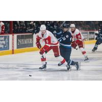 Grand Rapids Griffins defender Eemil Viro eyes the puck