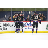 Tucson Roadrunners celebrate a goal