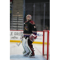 Tucson Roadrunners goaltender Matthew Villalta