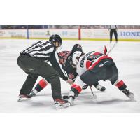 Belleville Senators' Angus Crookshank versus the Utica Comets' Kyle Criscuolo