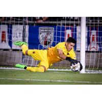 Phoenix Rising FC goalkeeper Rocco Rios Novo