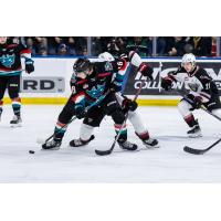 Kelowna Rockets' Ethan Neutens in action