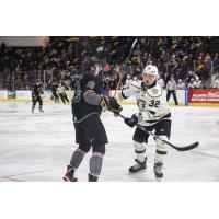 Iowa Heartlanders' Adam Goodsir battkes Wheeling Nailers' Justin Lee