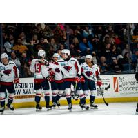 South Carolina Stingrays on game night