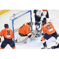 Greenville Swamp Rabbits goaltender Ryan Bednard makes a stop against the Jacksonville Icemen