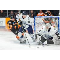 Worcester Railers' Riley Piercey and Fort Wayne Komets' Nolan Volcan in action