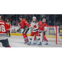 Grand Rapids Griffins center Marco Kasper amidst the Rockford IceHogs