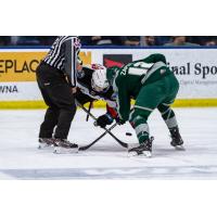 Kelowna Rockets face off with the Everett Silvertips