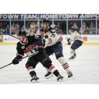 Belleville Senators' Tyler Boucher and Milwaukee Admirals' Egor Afanasyev in action