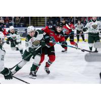 Kelowna Rockets battle the Everett Silvertips