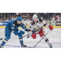 Grand Rapids Griffins defenseman Brogan Rafferty (right)