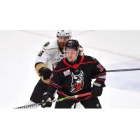 Adirondack Thunder's Erik Middendorf and Newfoundland Growlers' Todd Skirving on game night