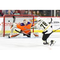 Reading Royals' Nolan Maier versus Wheeling Nailers' Isaac Belliveau