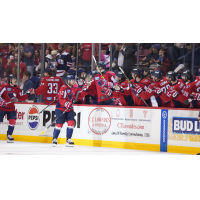 South Carolina Stingrays celebrate win