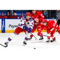 Kitchener Rangers' Matthew Sop in action