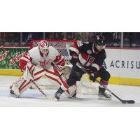 Grand Rapids Griffins goaltender Ville Husso