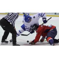 Wichita Thunder faces off with the South Carolina Stingrays