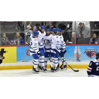 Wichita Thunder celebrates a goal