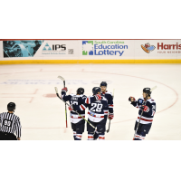 South Carolina Stingrays celebrate a goal