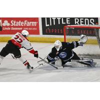 Prince George Cougars' Terik Parascak versus Wenatchee Wild's Brendan Gee