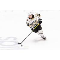 Wheeling Nailers forward Jordan Martel