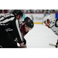 Tucson Roadrunners forward Cameron Hebig (left)