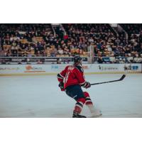 Kitchener Rangers' Cameron Mercer on the ice