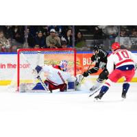 Allen Americans goaltender Marco Costantini makes a stop against the Idaho Steelheads