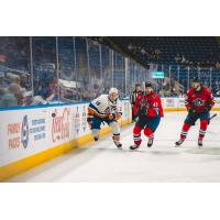 Bridgeport Islanders' Matthew Maggio and Springfield Thunderbirds' Calle Rosen in action