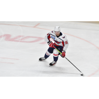 South Carolina Stingrays' Ryan Leibold on the ice