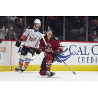 Tucson Roadrunners' Curtis Douglas on game night