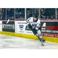 Wenatchee Wild's Evan Friesen in action