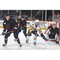 Wilkes-Barre/Scranton Penguins' Jagger Joshua in action