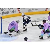 Greenville Swamp Rabbits' Jacob Ingham and Jacksonville Icemen's Brendan Harris in action