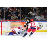 Allen Americans' Marco Costantini in action