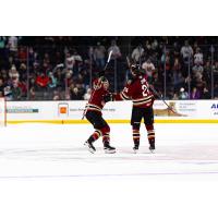 Tucson Roadrunners' John Leonard and Jan Jenik celebrate win