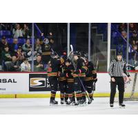 Vancouver Giants celebrate win