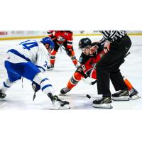 Wichita Thunder face off with the Kansas City Mavericks