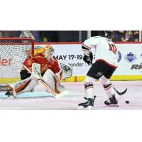 Adirondack Thunder forward Ryan Smith eyes the Reading Royals' goal