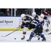 Kelowna Rockets take on the Victoria Royals