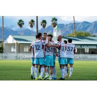 Chicago Fire FC celebrates win