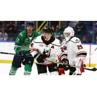 Adirondack Thunder's Matthew Stief and Vinnie Purpura and Florida Everblades' Sean Josling on game night