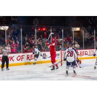 Allen Americans celebrate win