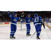 Wichita Thunder on the ice