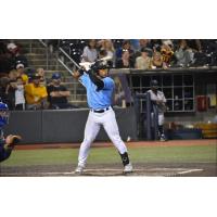 Outfielder Patrick Lee with the West Virginia Black Bears