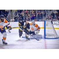 Newfoundland Growlers' Tate Singleton and Greenville Swamp Rabbits' Jacob Ingham on game night