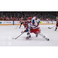 Kitchener Rangers battle the Ottawa 67's